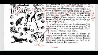 Learn French with Madame Maha Lesson 211 Reading a text