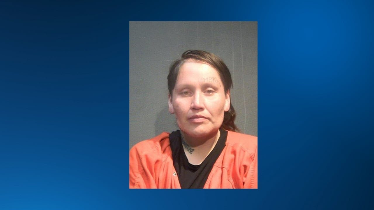 Sioux City woman arrested after alleged assault with a machete - YouTube