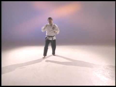 Sai Kata Nagare Mizu 