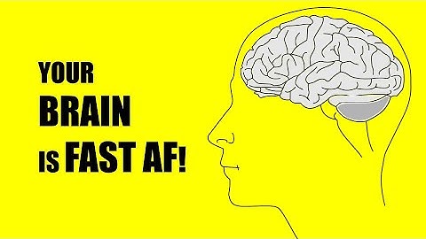 How We Use Mental Shortcuts