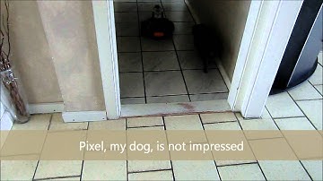 Skittles goes on a trip