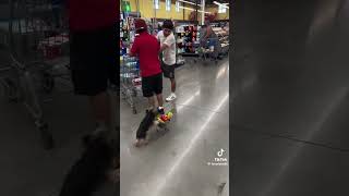 #dogs #shopping #walmart #fyp #dogsyoutube #sillybilly #cute #kroger #pets #memes #bigback #dogs #shopping #walmart #fyp #dogsyoutube #sillybilly #cute #kroger #pets #memes #bigback