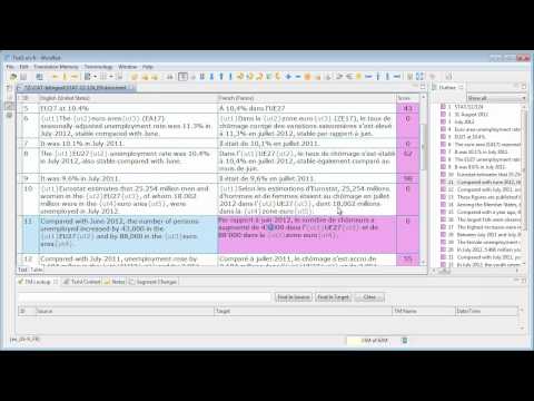 Display/hide spaces in mainstream CAT tools