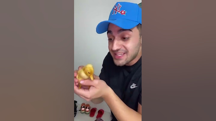 COMPREI UM FILHOTE DE PATO E DEI PRA CACHORRINHA QUE ACHEI NA RUA 😍