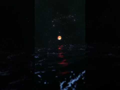 يا عاشقي .. فيديو الاستاذة سكينة من مسابقة الامنيات الشعرية لشهر نوفمبر عام 2024