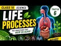 Life processes part 6