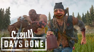 Days Gone (Жизнь После) Выживание-часть №7 СТРИМ