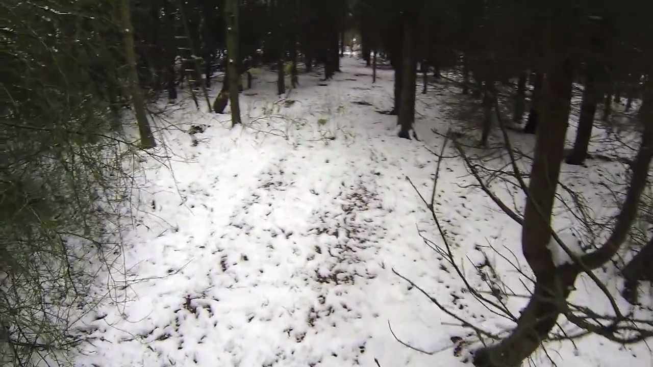 Pheasant Shooting on Beaters Day filmed with a Go Pro Hero 3 YouTube