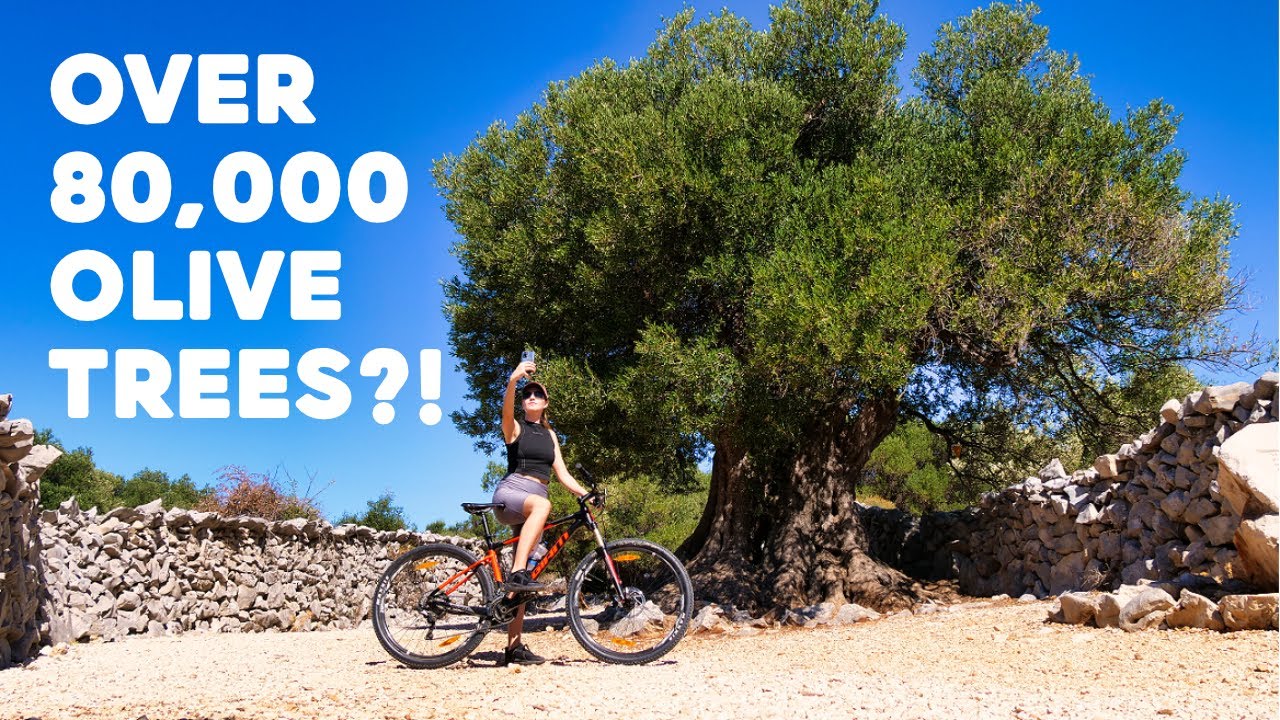 Magnificent LUN on the island of PAG, CROATIA | Cycling with Bikademy Novalja Study