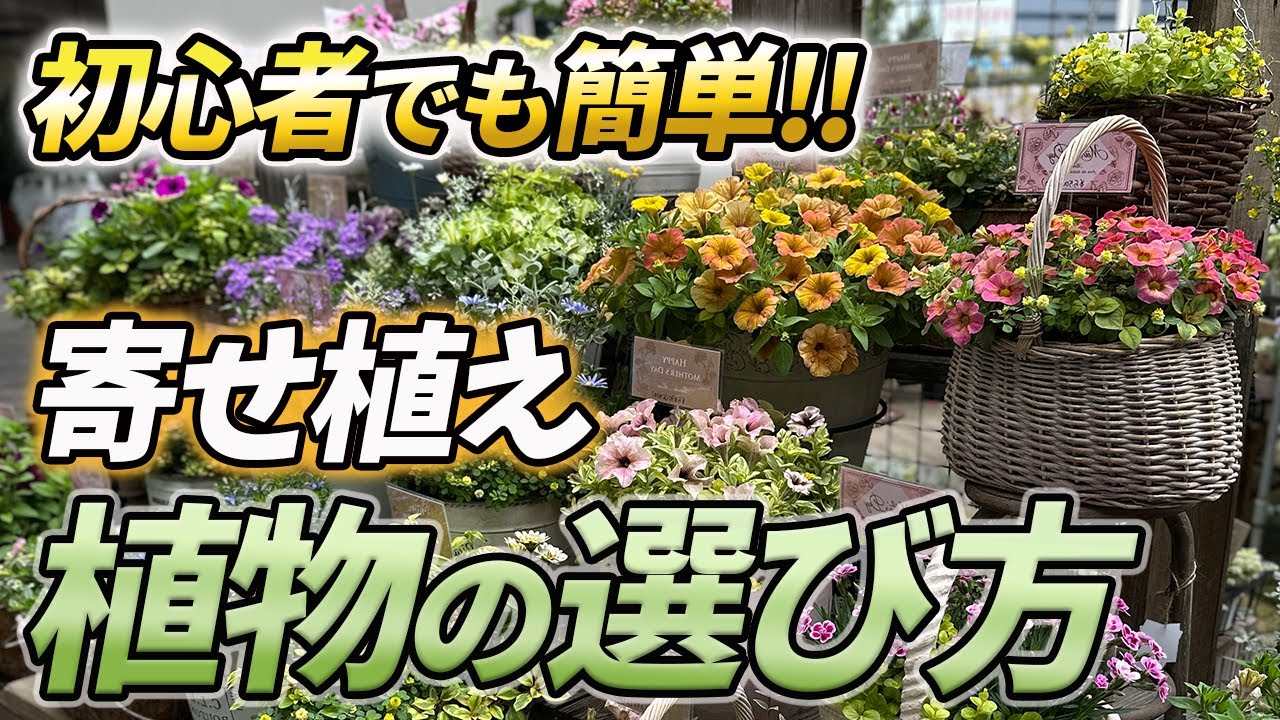 【もう失敗しない！】これを知っているだけでプロ級に！正しい植物選びと合わせ方【ガーデニング】【園芸チャンネル】【寄せ植え】