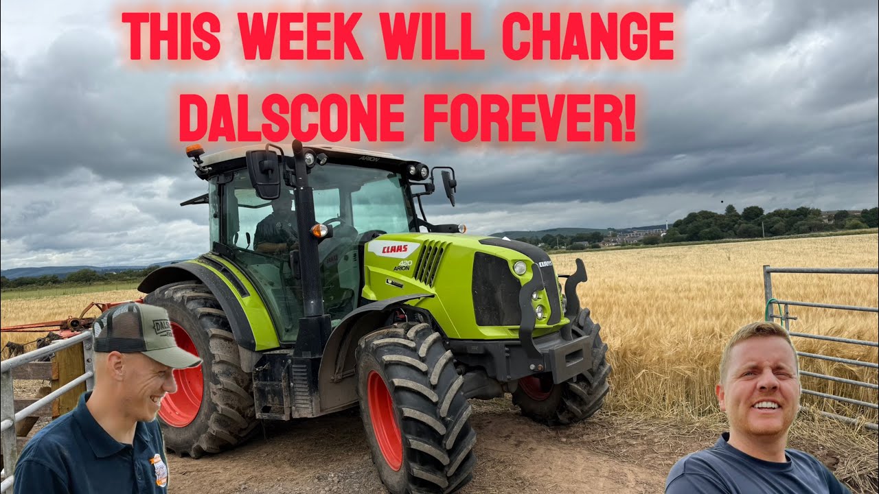 Chaos on the Farm! Sawdust Disaster, Hay Cutting & Sheep Show Wins 🐐🚜🏆