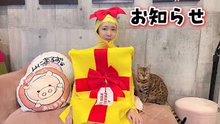 お知らせがあります！