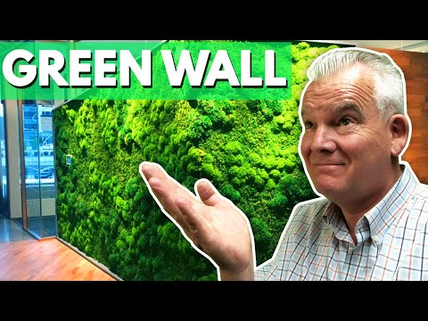 Como construir paredes verdes | Jardins verticais e Moss Paredes