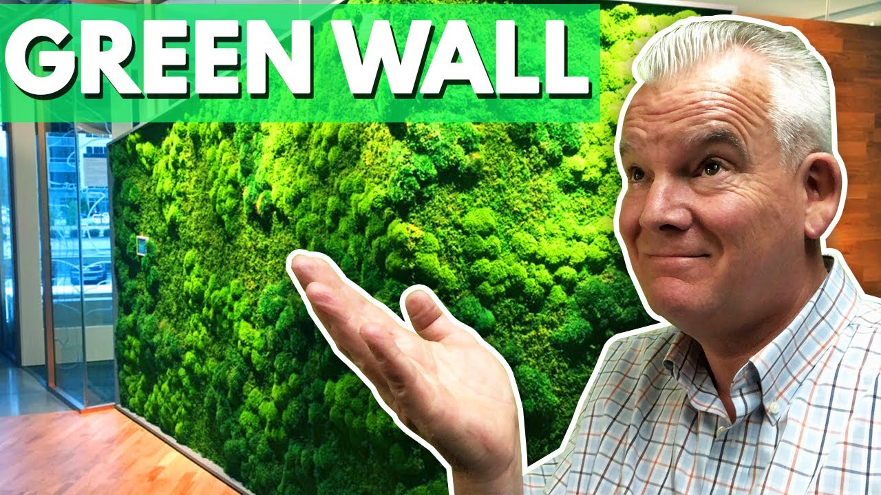 Moss Walls - Greenwalls