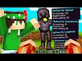 NUOVA ARMATURA SEGRETA PER NICO NELLA BIG VANILLA SU MINECRAFT!!