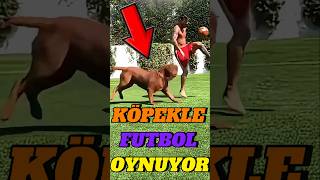 Ronaldo Boğa İle Antrenman Yapiyor