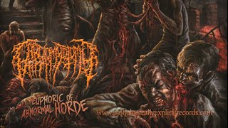 Cardiomyotomy - Molested by Anthropophagi