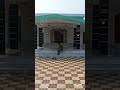 সুন্দরবনের বনবিবি ঠাকুরের মন্দির 🙏🙏 #love #youtubeshorts #shortvideo