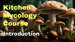 Kitchen Mycology Course - Introduction