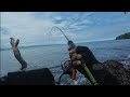 HARI YANG BAIK CASTING PINGGIRAN DI SPOT ANDALAN | ultralight fishing