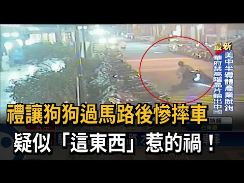 禮讓狗狗過馬路後慘摔車　疑似「這東西」惹的禍！－民視新聞