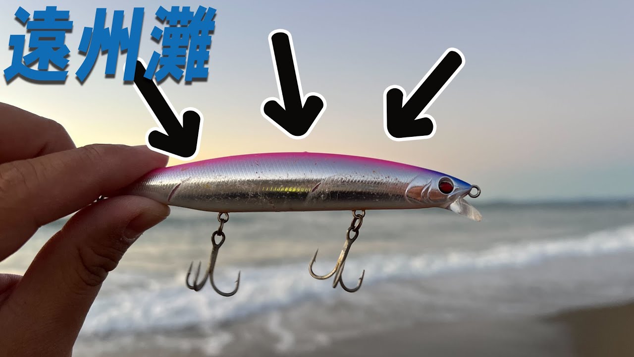 これからが狙い目 遠州灘サーフでカタクチ、アジパターンはこのルアー