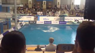 305b 3m FAIL-blooper EM
