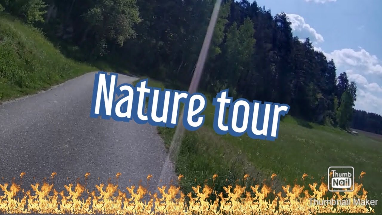 Nature tour🌳🍀 - YouTube