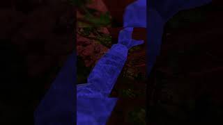 Rate This Pro Route Part 6  #gorillatagmontage #gorillatag #gorillatagquest #gtag #vr #gorilla