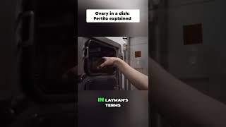 Ovary in a Dish: Fertilo Explained Simply #shorts