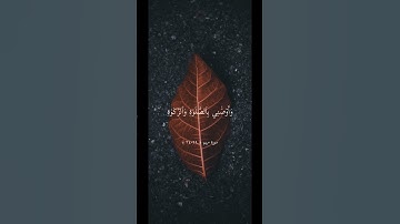 واوصاني بالصلاة والزكاة | تلاوة خاشعة بصوت الشيخ ماهر المعيقلي ارح سمعك