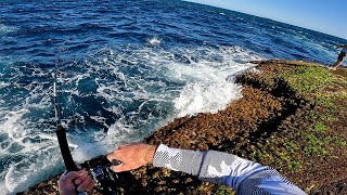 A sunny afternoon spinning lures for bonito in Sydney NSW Australia 4K - Bugsy Fishing Episode 21