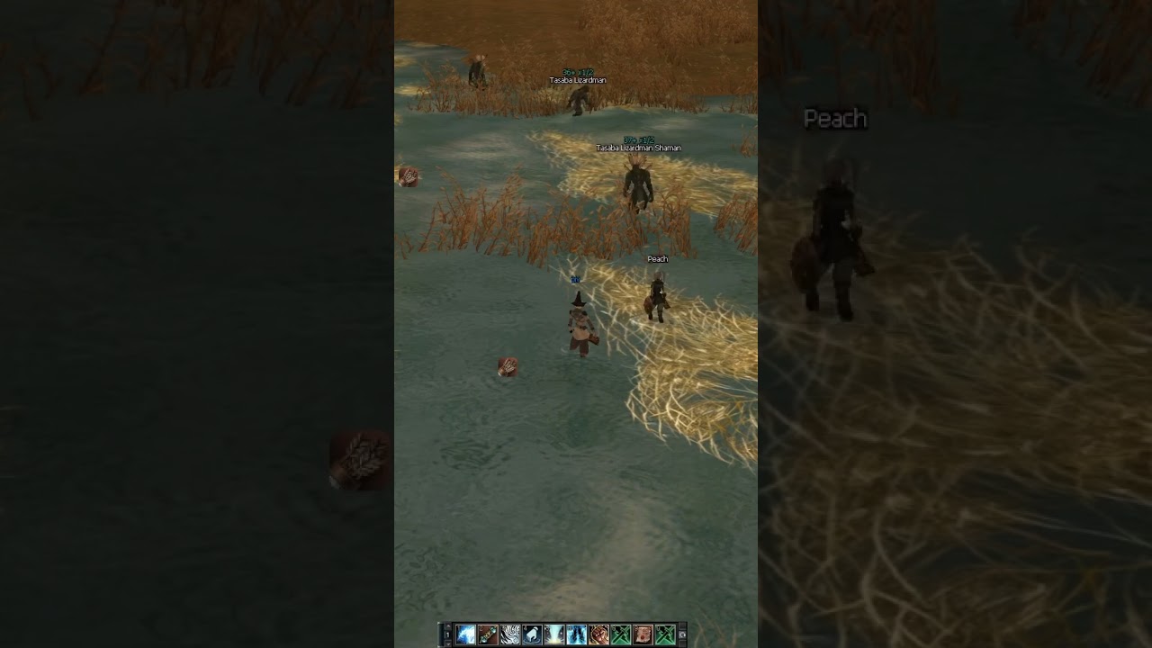 Lineage 2 - Дроп 45 ма на Elmorelab.com x2 AIRIN