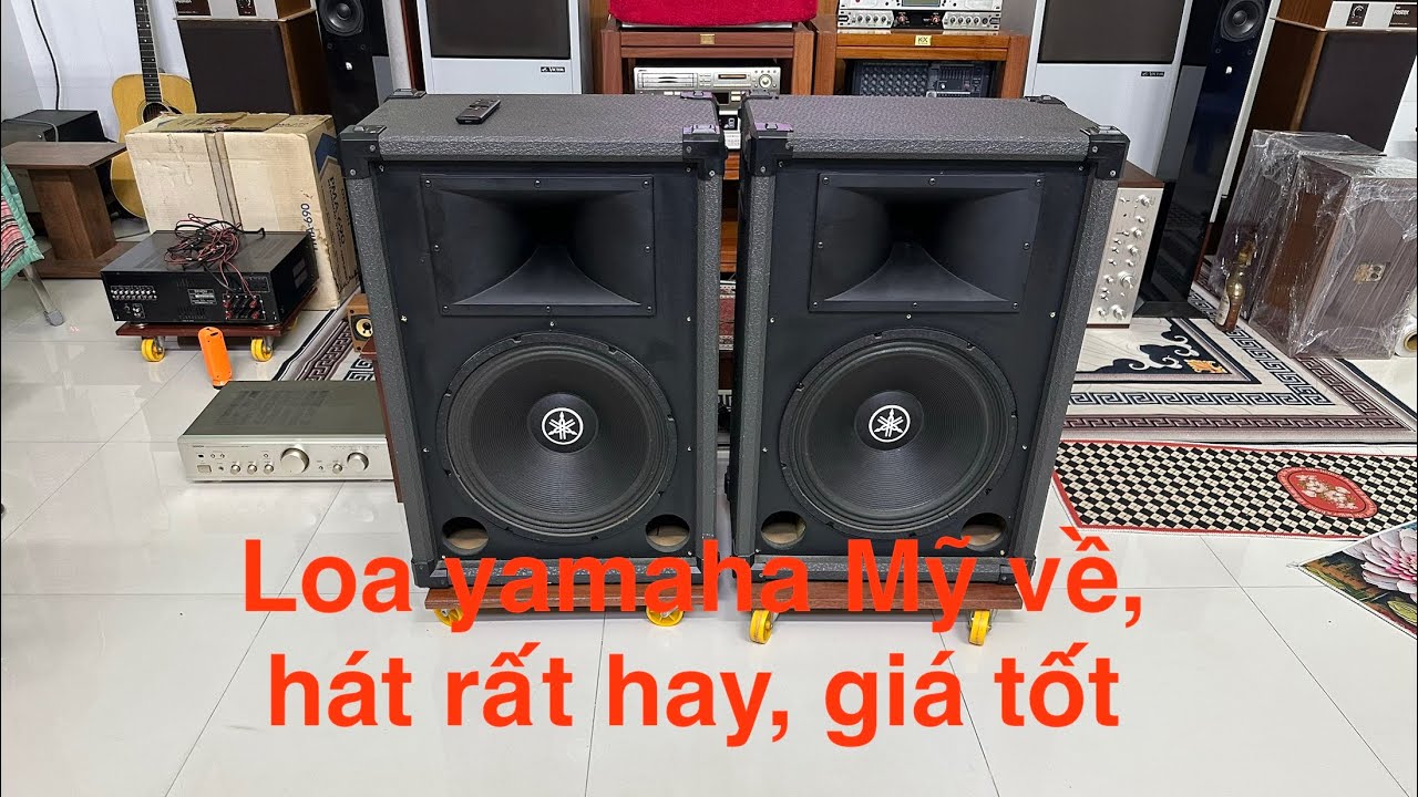 DENON SC-V11 speakers priced at 750k VND. DENON DSW-11 subwoofer