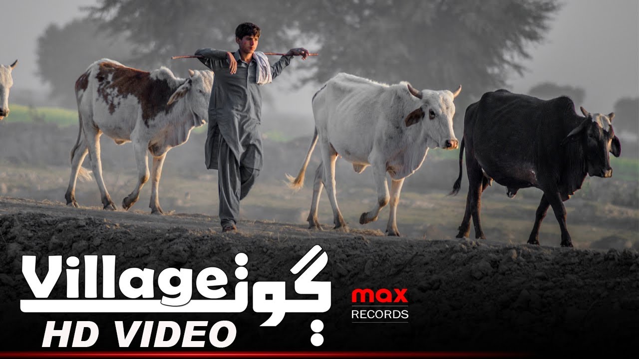 Village ڳوٺ | Phulpota | Sindh | Pakistan | Village Life | Sindhi People | Sindhi Culture | HD Clip