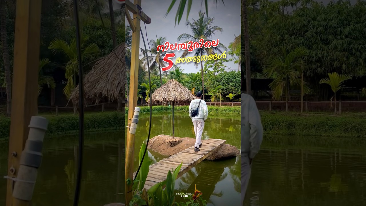 📍Best places visit Nilambur in 2025 