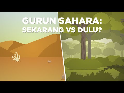 Video: Mengapa gurun kering?