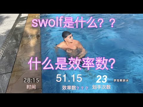 【梦觉】什么是游泳效率数？跟swolf有什么区别？