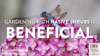 Celebrity Why You Should Plant Native Plants Net Worth