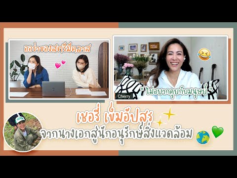 วีดีโอ: เชอร์รี่สายพันธ์ุ: คำอธิบาย คุณสมบัติ ความใส่ใจ และข้อเท็จจริงที่น่าสนใจ