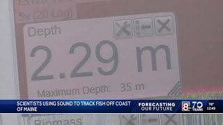 Using fisheries acoustics to ensure healty fish populations - YouTube