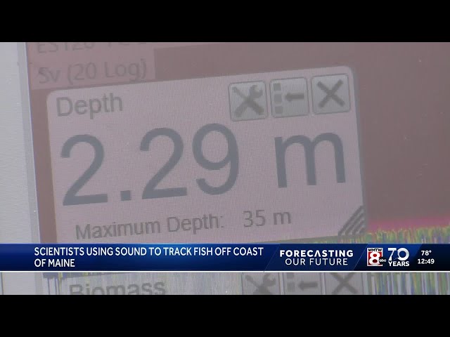 Using fisheries acoustics to ensure healty fish populations - YouTube