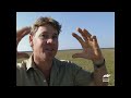 Steve Helps U.S. Army Rangers Wrangle Gators! | The Crocodile Hunter | Animal Planet