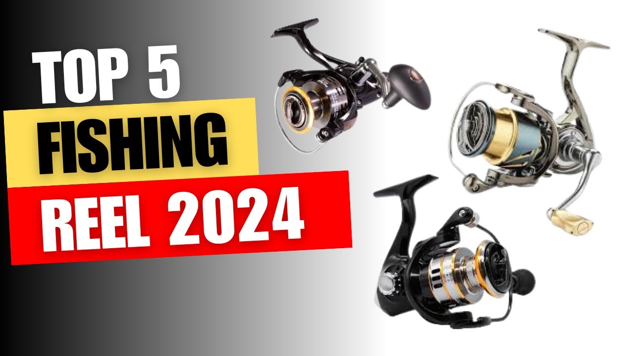 TOP 5 FISHING SPINNING REEL 2024 