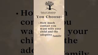 What Can a Birth Mother Decide in Adoption 💖 You have the power to choose.