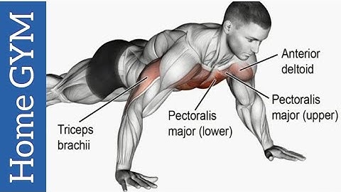 The Perfect Push Up | Do it right! The Perfect Push-Up To Build Muscle (AVOID THESE MISTAKES!)