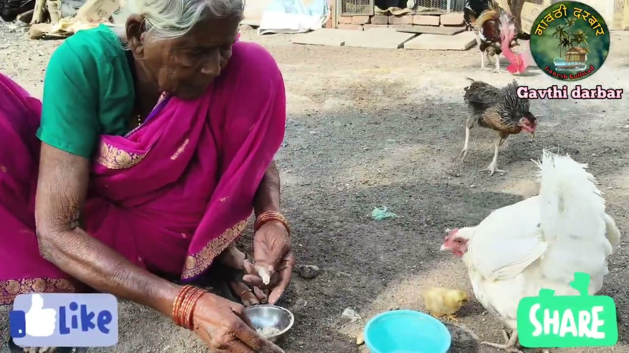 एक दिवसाच्या कोंबडी च्या पिल्लांची काळजी कशी घ्यावी, काय खायला घालावे, कोणती औषधे पाजावित?