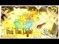 [AMV] "Feel The Light"// Yamper