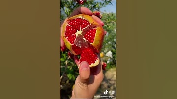 CÁCH LỘT VỎ LỰU