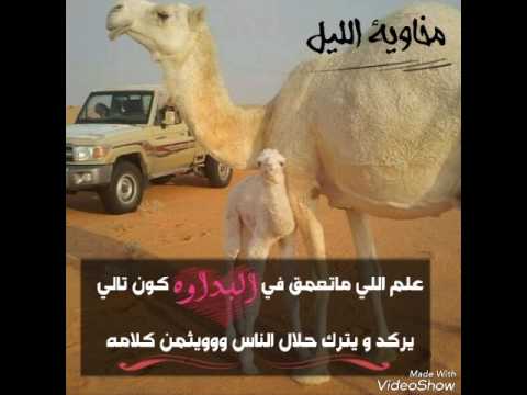 شيله علم الي ماتعمق في البداوه كون تالي يركد ويترك حلال الناس ويثمن كلامه اداء عبدالله ال عفيفه